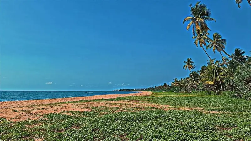 Ahungalla Beach